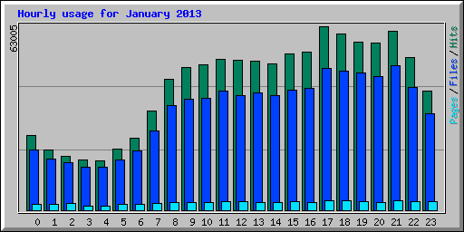Hourly usage for January 2013
