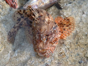 CQ WPX 2003 od OK1TNM