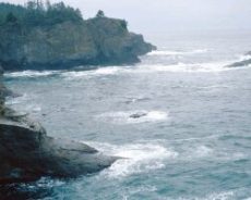 6/2 m expedition - July 2004