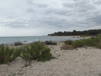 9A/OM0AAO EU-170 Pag