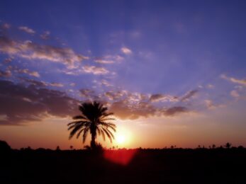 TS7C ostrov Kerkennah