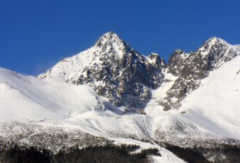 Šťastné a veselé….