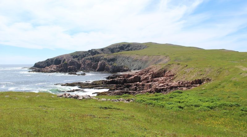 Newfoundland