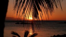 3B8M Mauritius in CQ WW DX Contest 2021