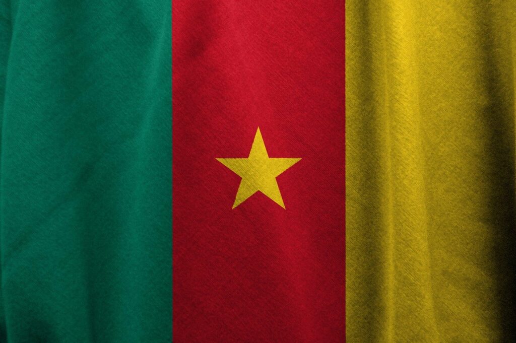 Kamerun zástava