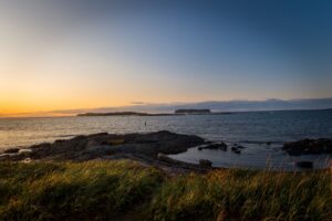 Newfoundland