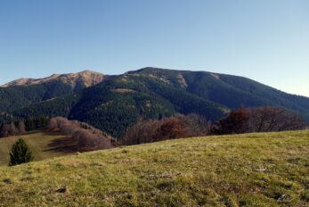 A1 Contest / Marconi Memorial Contest 2025