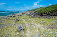 Starts 3b9dj island of Rodrigues