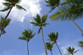 KP5/NP3VI DX expedícia na ostrov Desecheo